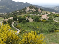 Village of Suzette